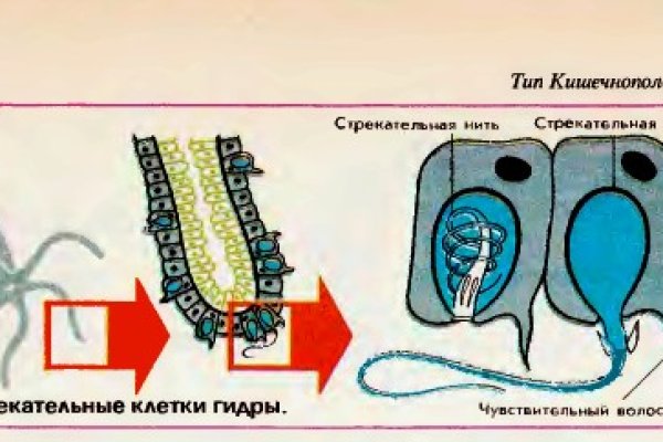 Кракен адрес тор