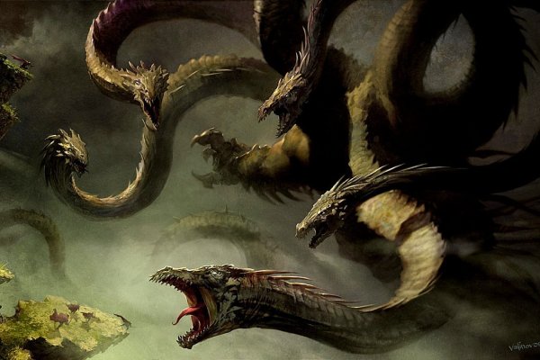 Kraken 20at
