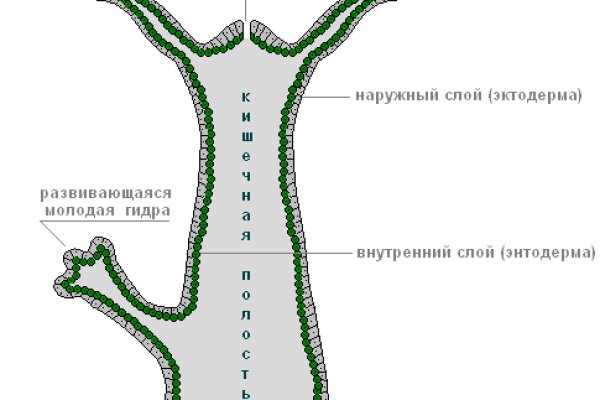 Кракен даркнет площадка ссылка