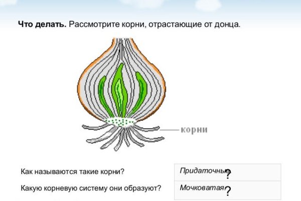 Kraken ссылка тор 2krnk biz kraken17ate pro